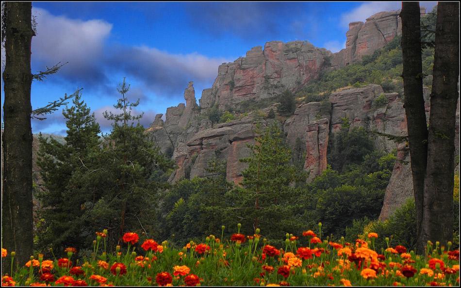 Castle Cottage Bed & Breakfast Belogradchik Luaran gambar